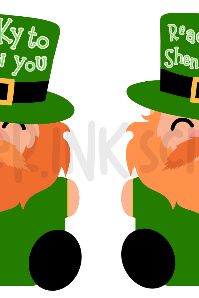 Lucky Leprechaun Gift Card and Treat Holder